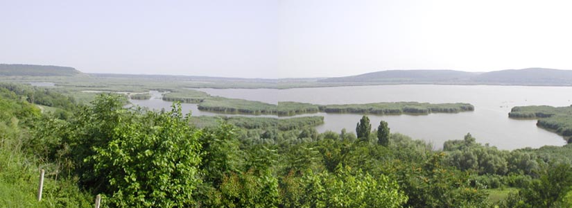 Резерват Сребърна